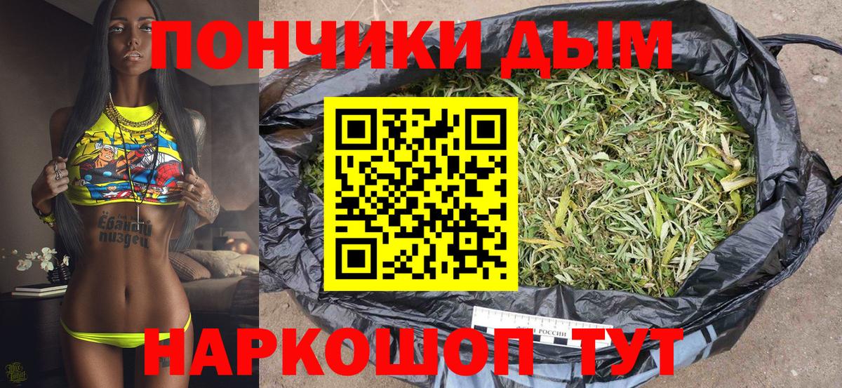 Конопля MAZAR  Канабис гибрид  Канабис VHQ  Конопля MAZAR  Вход с VPN  Бийск 